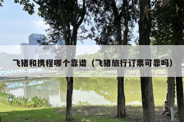飞猪和携程哪个靠谱（飞猪旅行订票可靠吗）