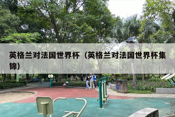 英格兰对法国世界杯（英格兰对法国世界杯集锦）