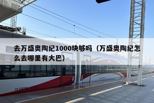 去万盛奥陶纪1000块够吗（万盛奥陶纪怎么去哪里有大巴）