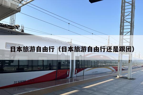 日本旅游自由行（日本旅游自由行还是跟团）