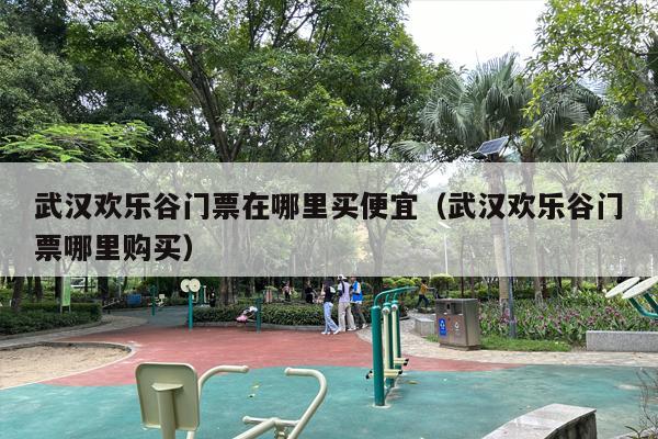 武汉欢乐谷门票在哪里买便宜（武汉欢乐谷门票哪里购买）