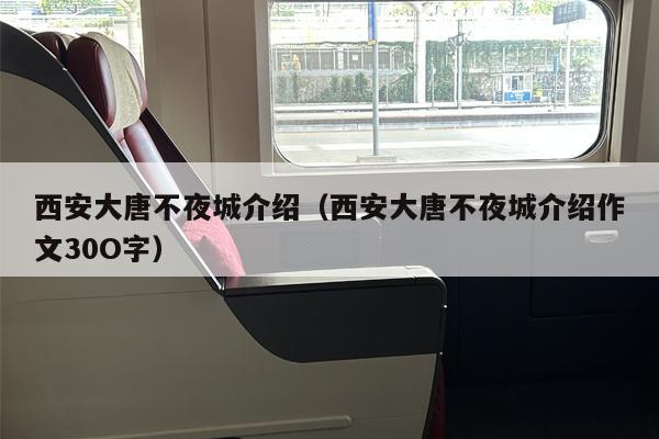 西安大唐不夜城介绍（西安大唐不夜城介绍作文30O字）