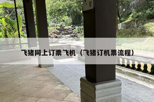 飞猪网上订票飞机（飞猪订机票流程）