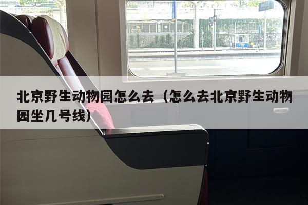 北京野生动物园怎么去（怎么去北京野生动物园坐几号线）