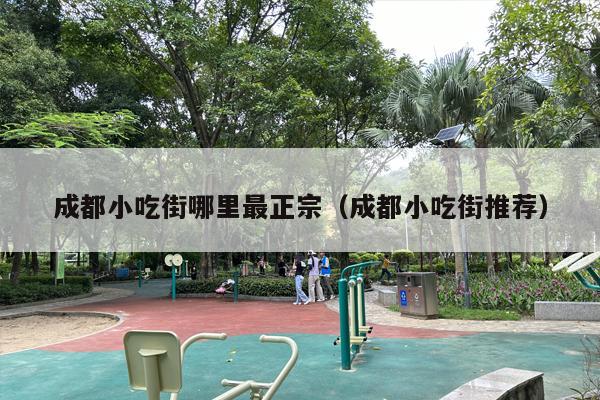 成都小吃街哪里最正宗（成都小吃街推荐）