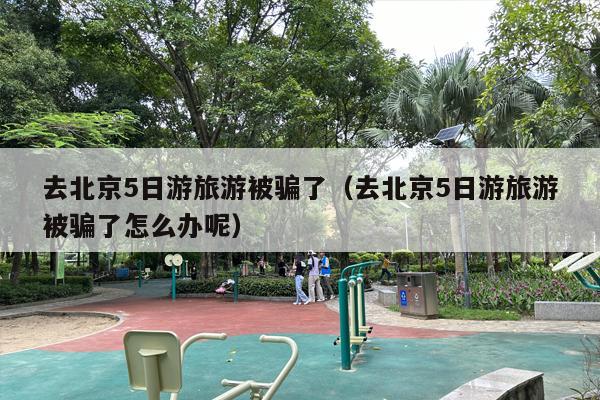 去北京5日游旅游被骗了（去北京5日游旅游被骗了怎么办呢）