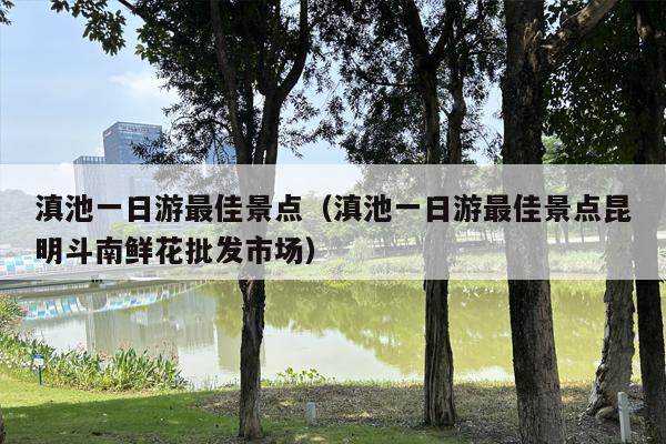 滇池一日游最佳景点（滇池一日游最佳景点昆明斗南鲜花批发市场）