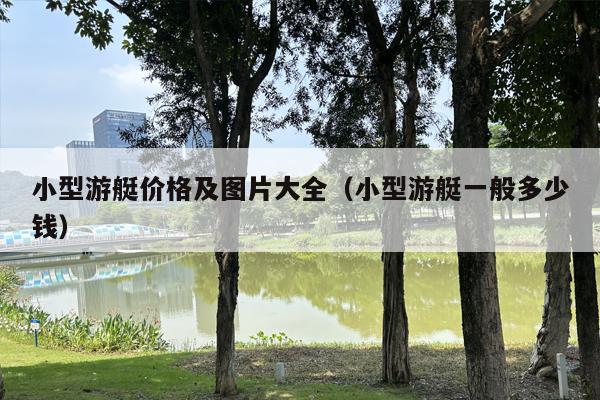 小型游艇价格及图片大全（小型游艇一般多少钱）