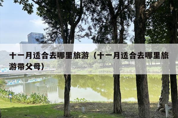 十一月适合去哪里旅游（十一月适合去哪里旅游带父母）