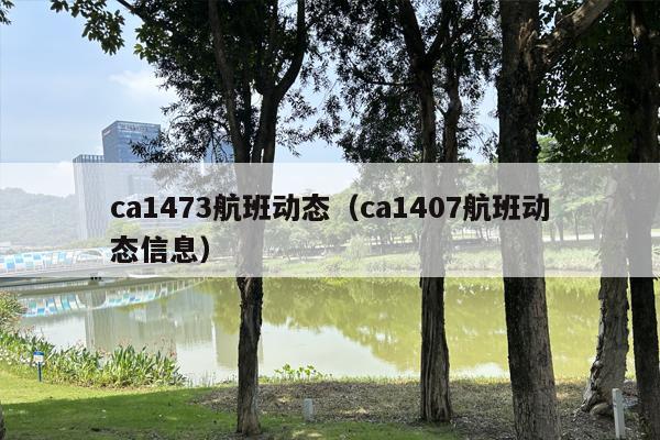 ca1473航班动态（ca1407航班动态信息）