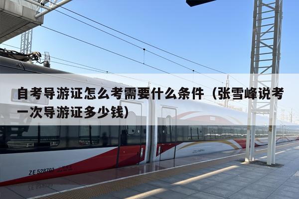 自考导游证怎么考需要什么条件（张雪峰说考一次导游证多少钱）