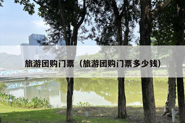 旅游团购门票（旅游团购门票多少钱）