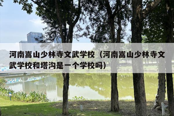 河南嵩山少林寺文武学校（河南嵩山少林寺文武学校和塔沟是一个学校吗）