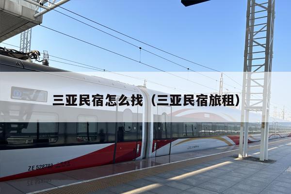 三亚民宿怎么找（三亚民宿旅租）