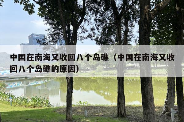 中国在南海又收回八个岛礁（中国在南海又收回八个岛礁的原因）