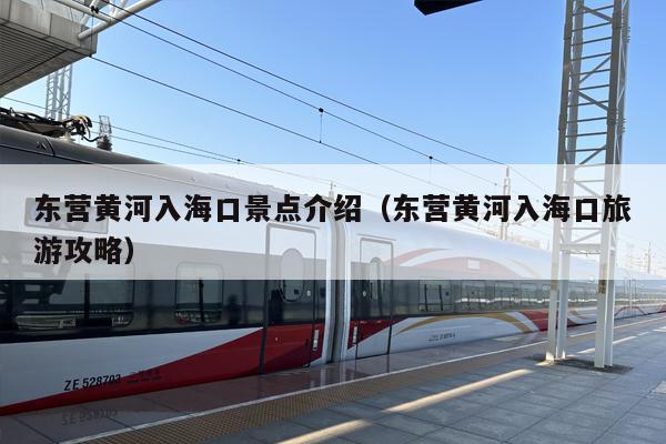 东营黄河入海口景点介绍（东营黄河入海口旅游攻略）