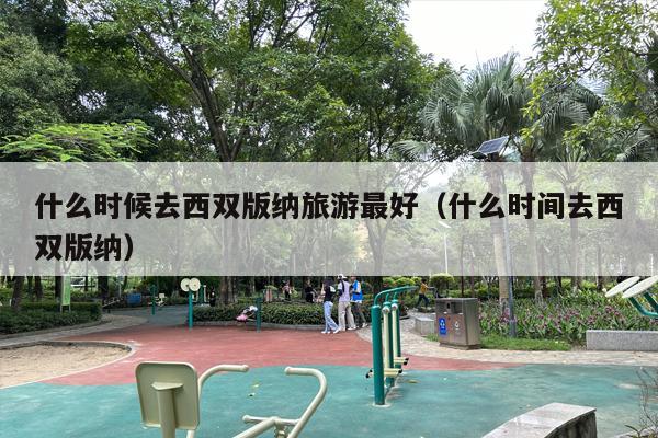 什么时候去西双版纳旅游最好（什么时间去西双版纳）