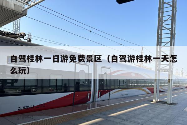 自驾桂林一日游免费景区（自驾游桂林一天怎么玩）