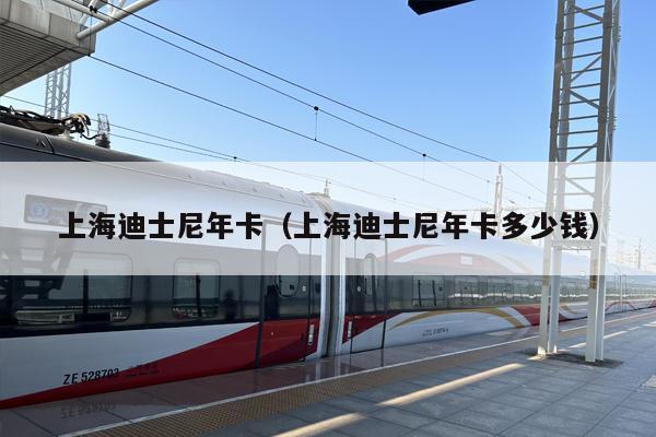 上海迪士尼年卡（上海迪士尼年卡多少钱）